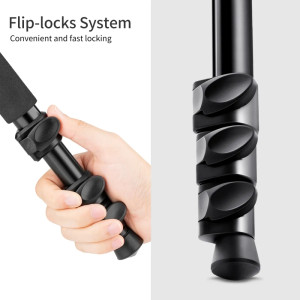 K&F Concept Tripod K254A3+BH-28L