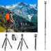 K&F Concept Tripod K254A3+BH-28L