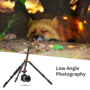 K&F Concept Tripod K254A3+BH-28L