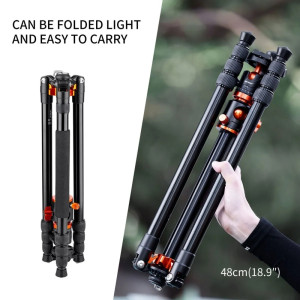 K&F Concept Tripod T254A4+BH-28L