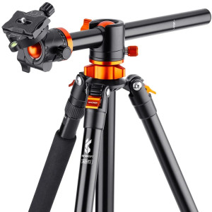 K&F Concept Tripod T254A4+BH-28L