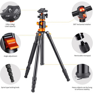 K&F Concept Tripod T254A4+BH-28L
