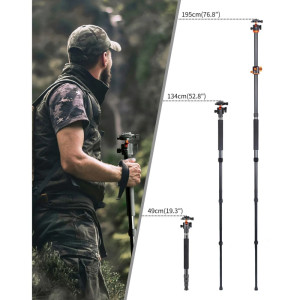 K&F Concept Tripod T254A4+BH-28L