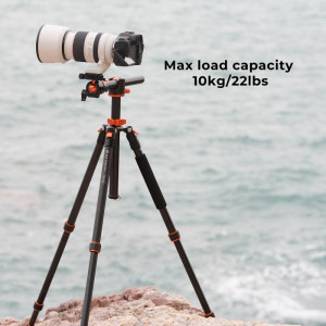 K&F Concept Tripod T254A4+BH-28L