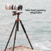 K&F Concept Tripod T254A4+BH-28L