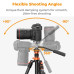 K&F Concept Tripod K234A7+FH-03